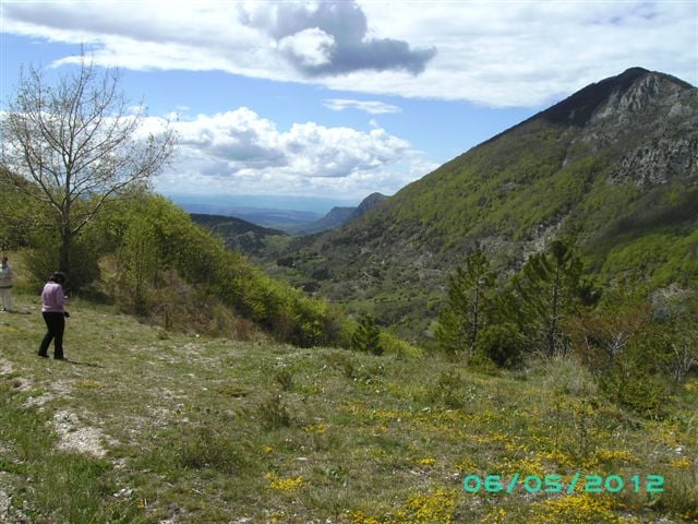BILD0361