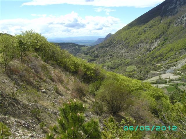 BILD0364