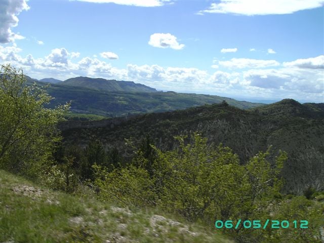 BILD0369