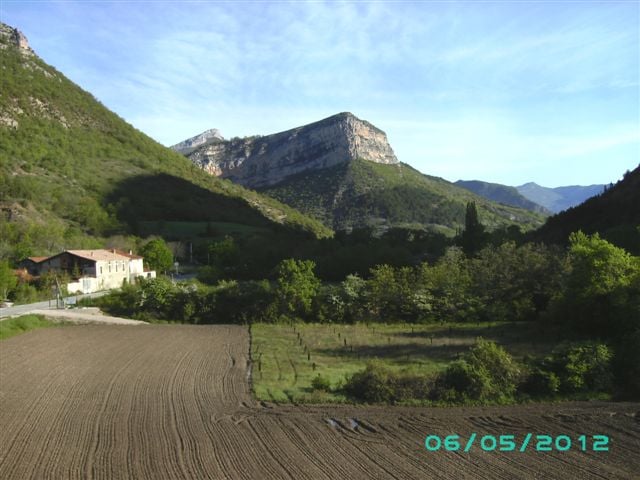 BILD0387