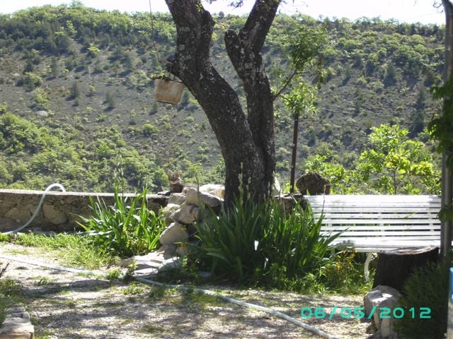 BILD0402