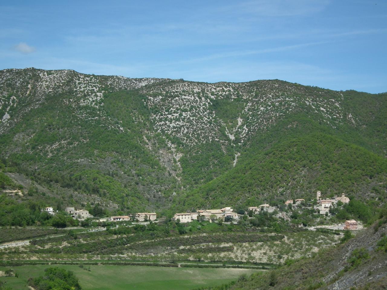 DSCF3976