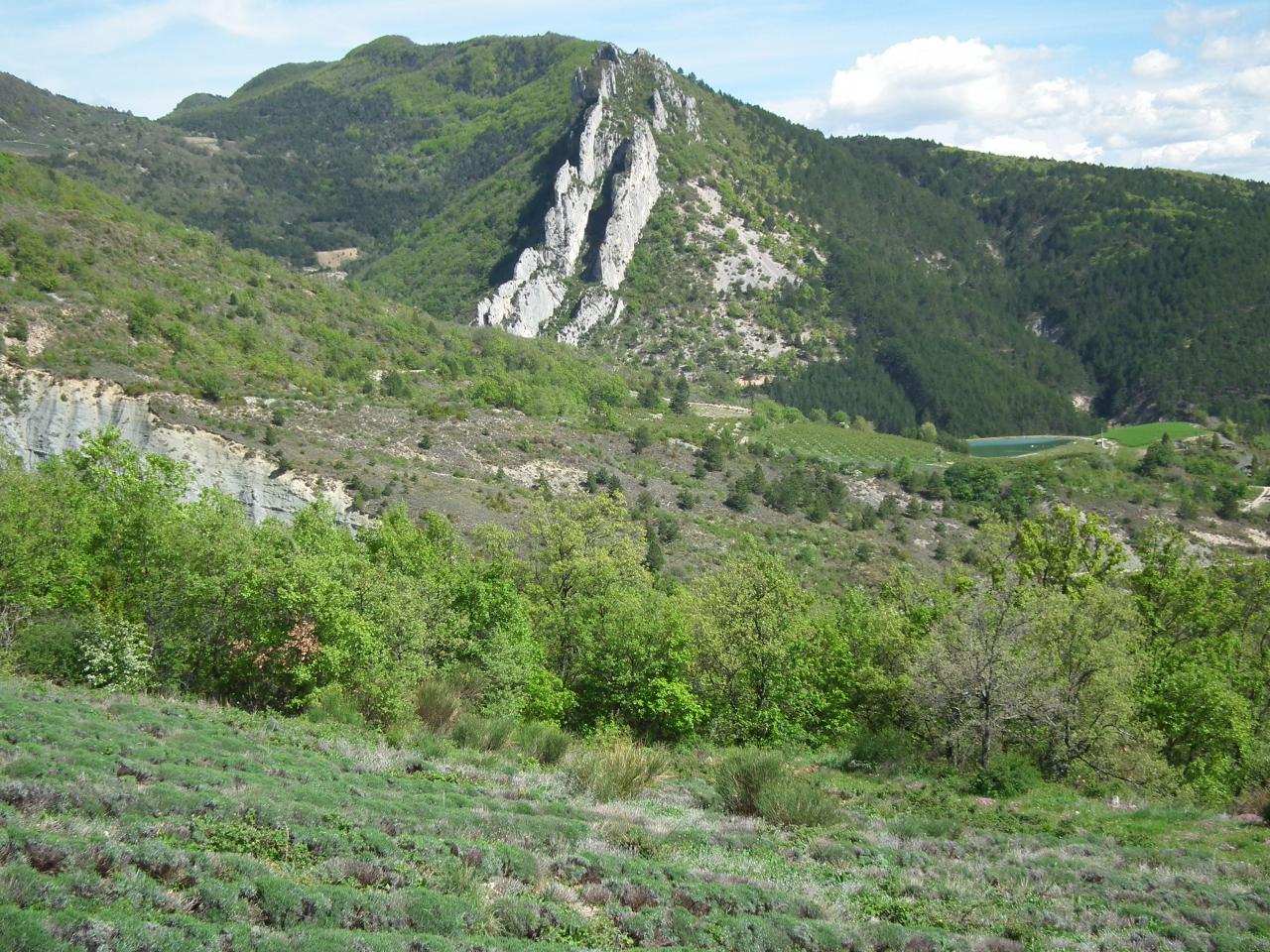 DSCF3988
