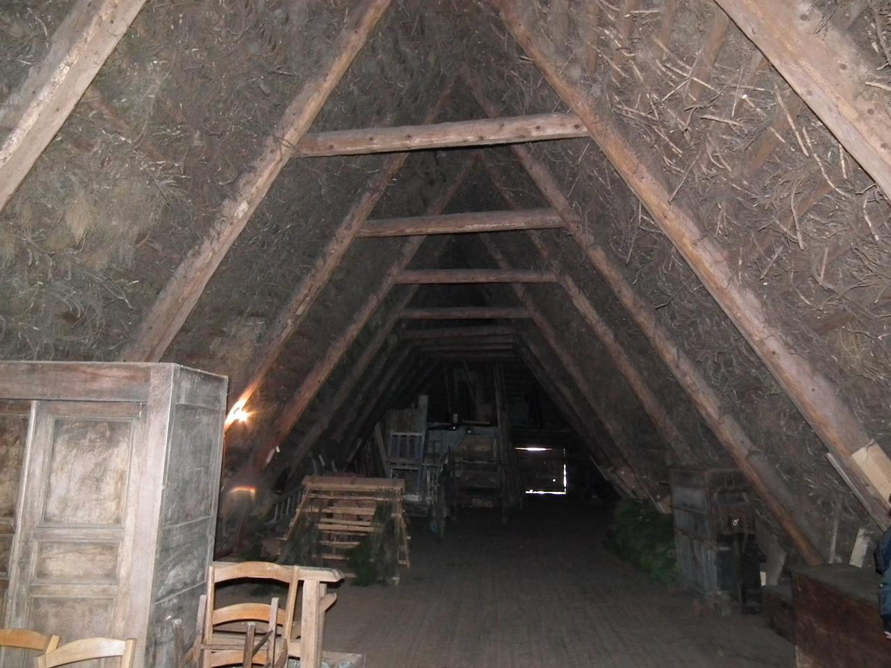Ferme Léon (113)