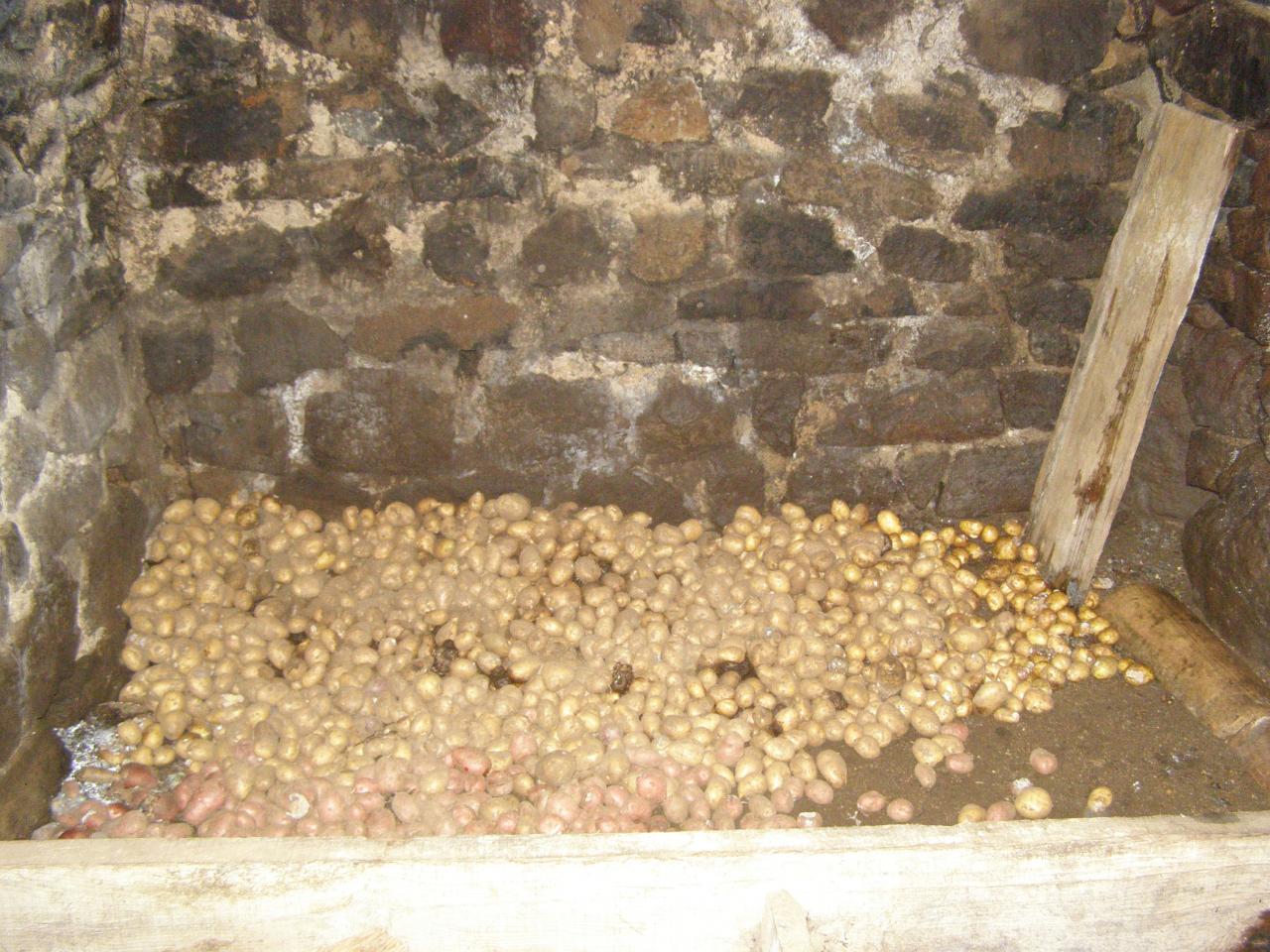 Ferme Léon (30)