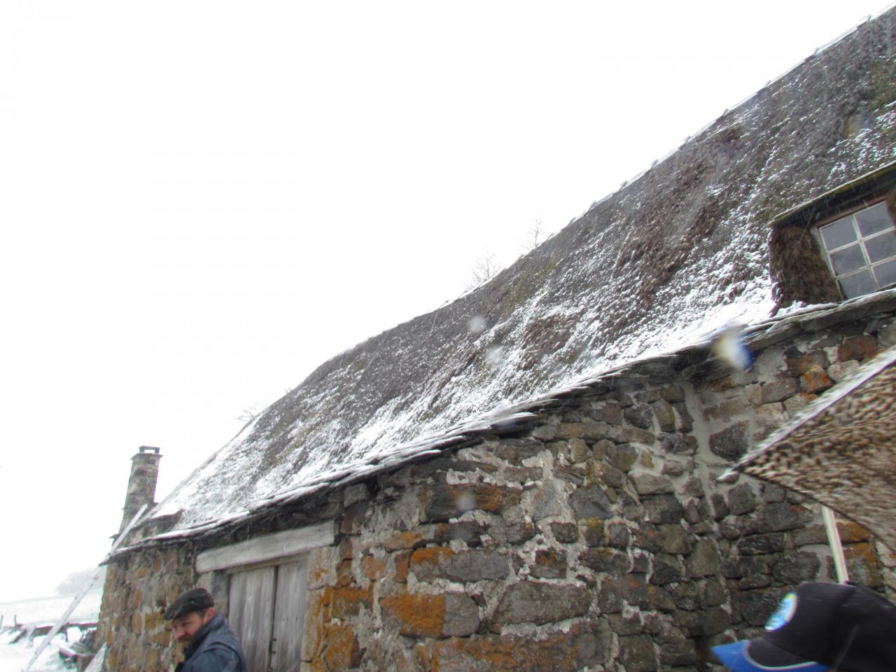 Ferme Léon (35)