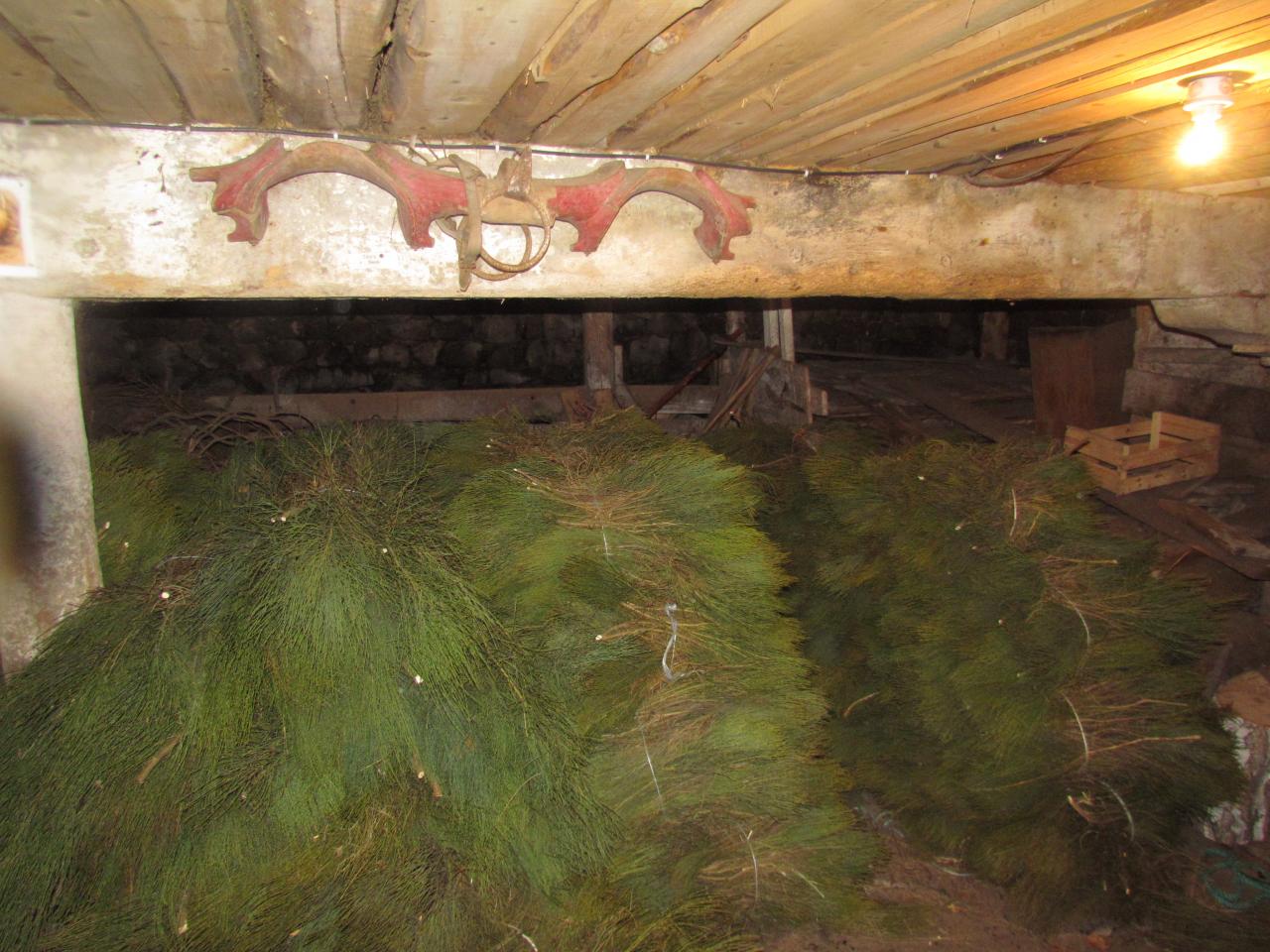 Ferme Léon (36)
