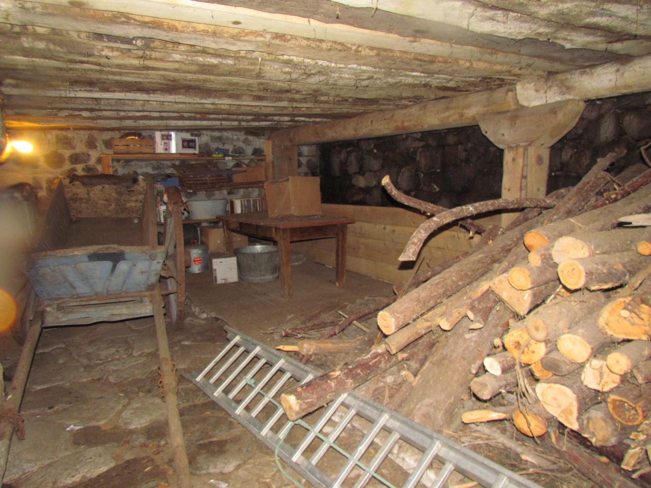 Ferme Léon (38)