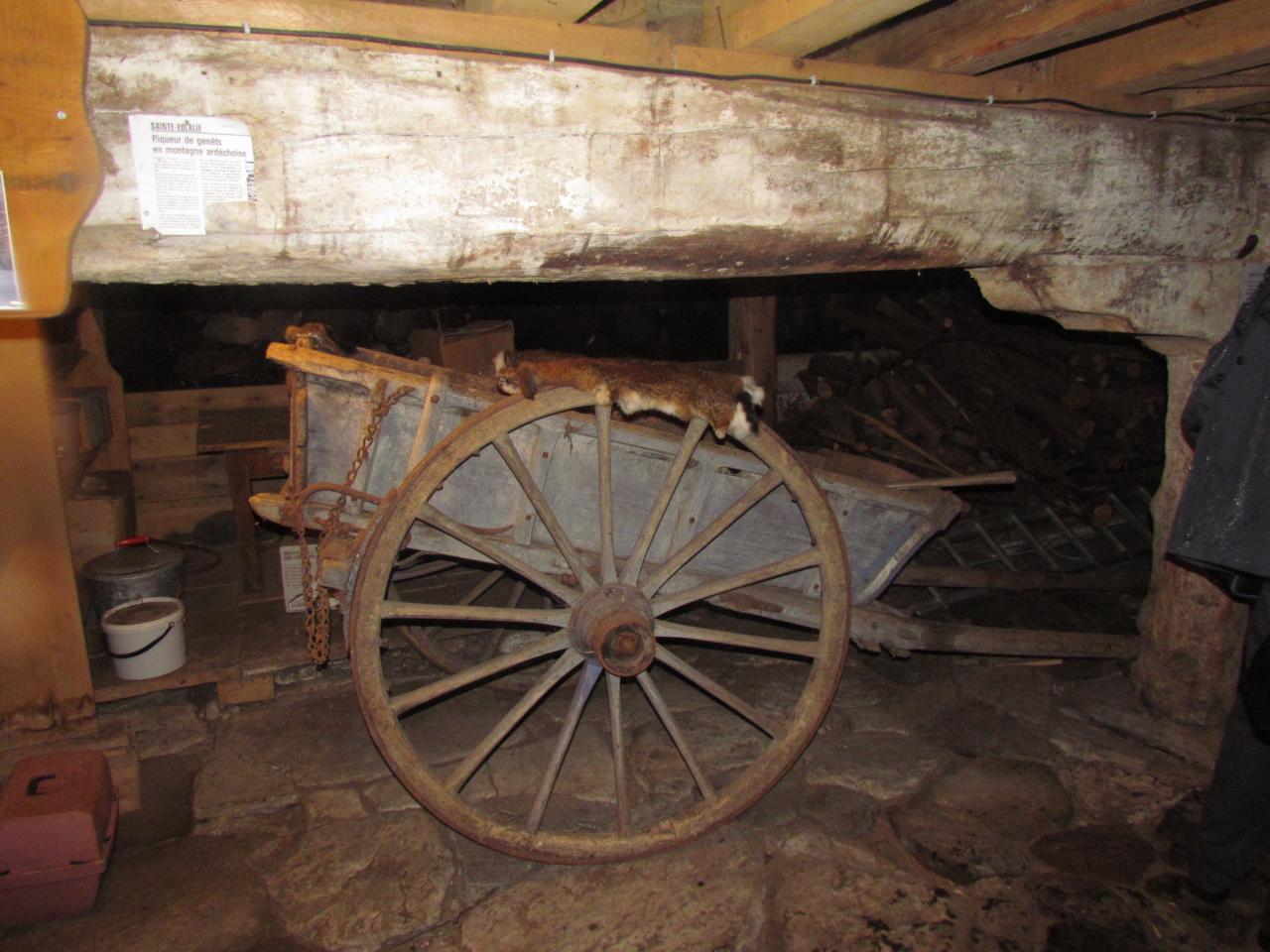 Ferme Léon (41)