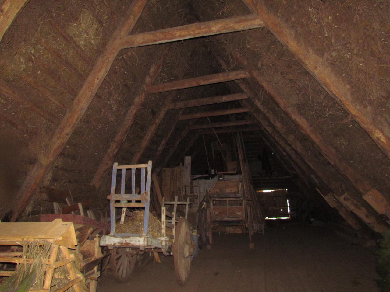 Ferme Léon (59)