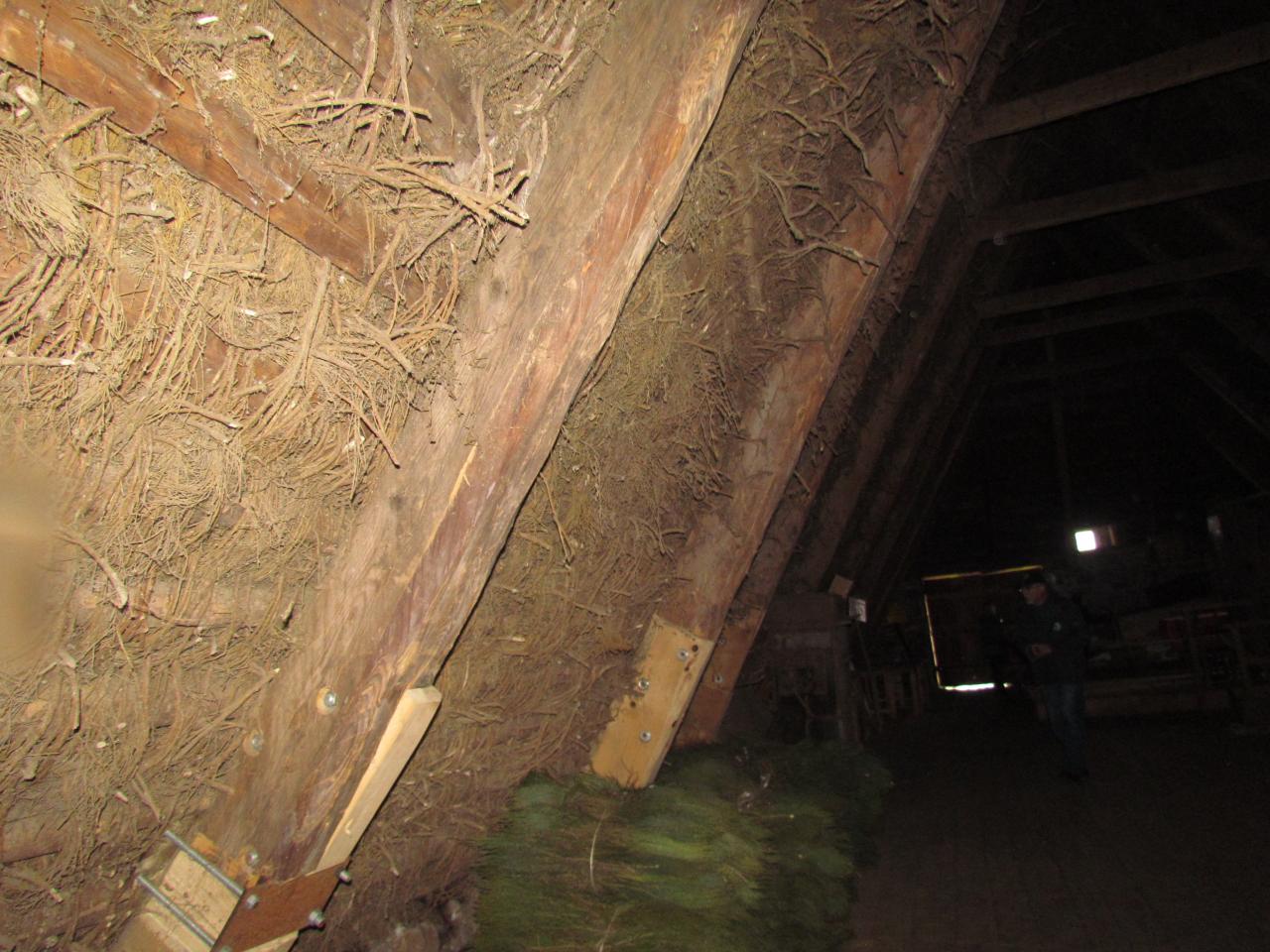Ferme Léon (61)