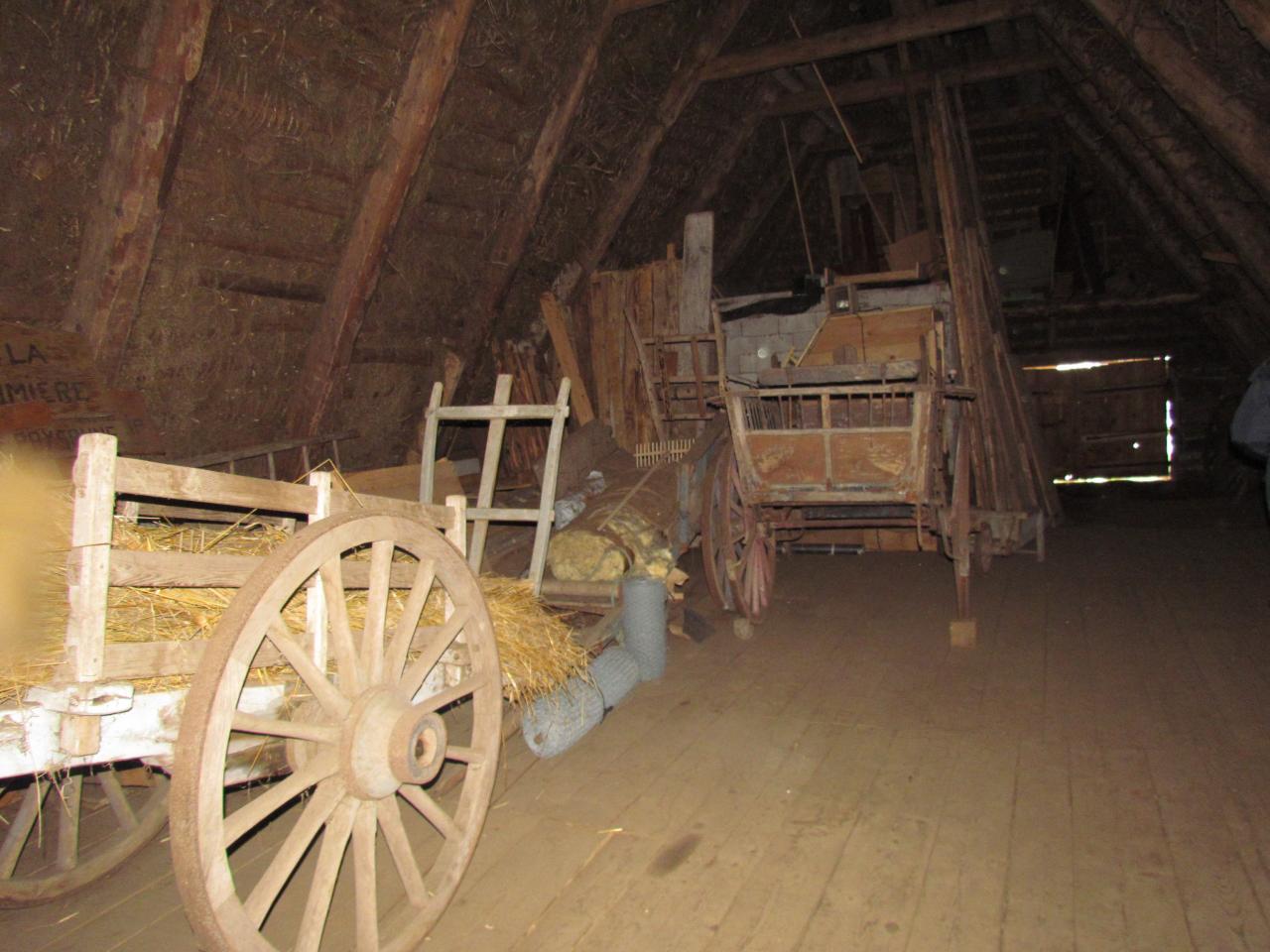Ferme Léon (63)
