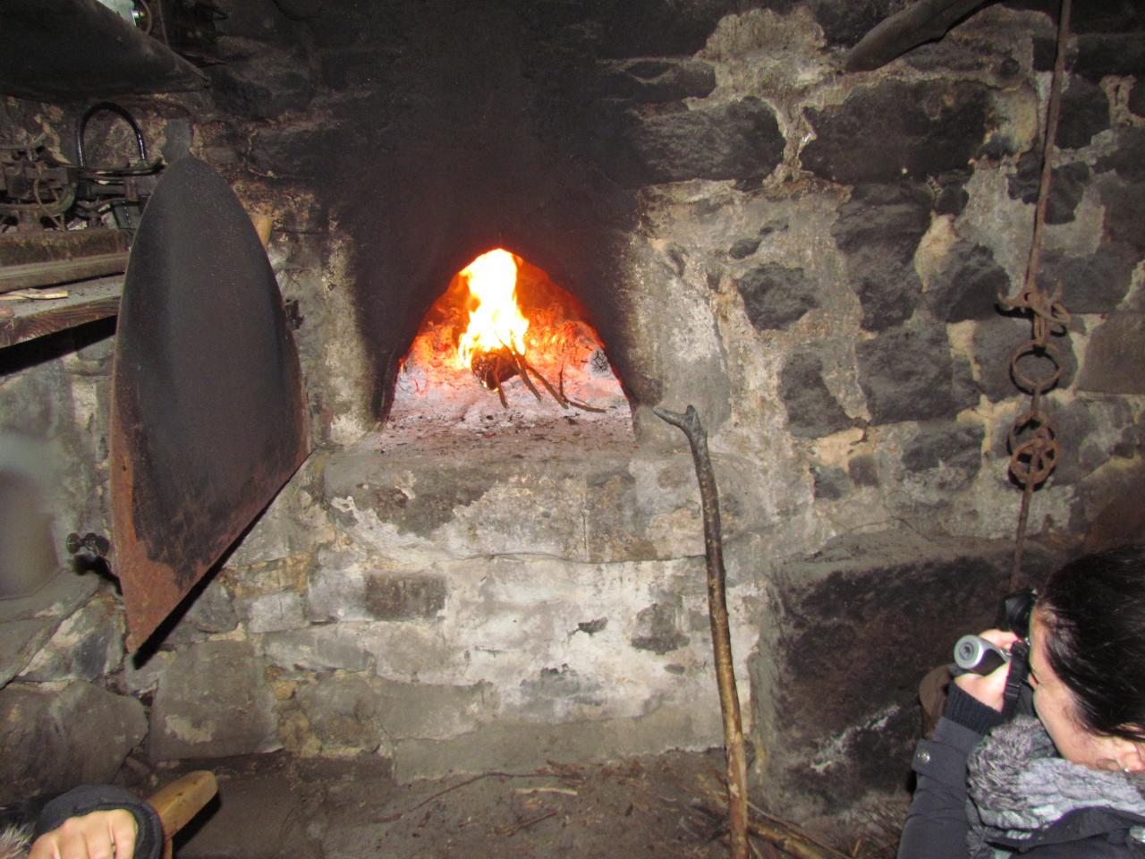 Ferme Léon (72)