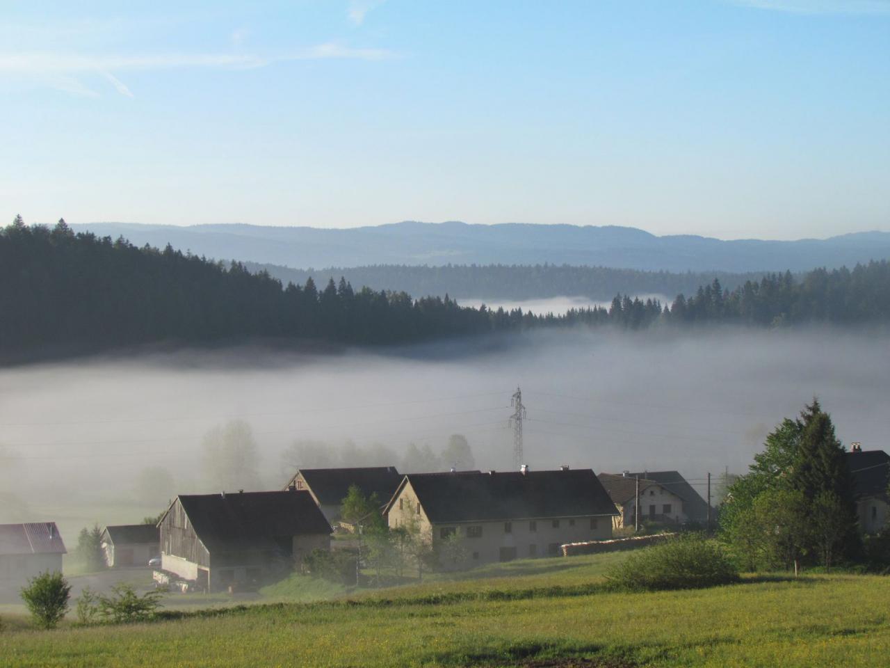 Matin levé du jour