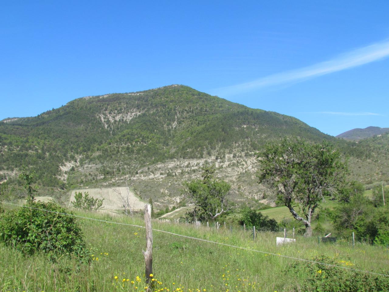 O14