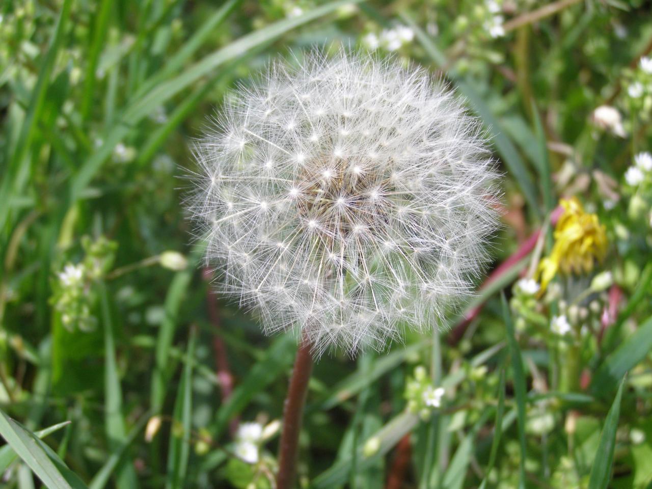 P1010075