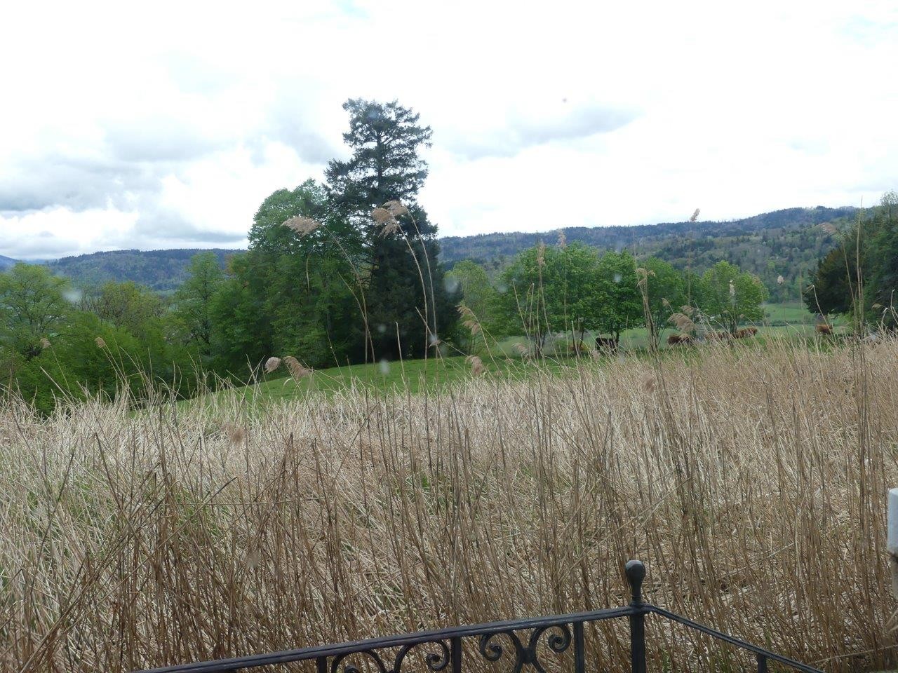 P1070599