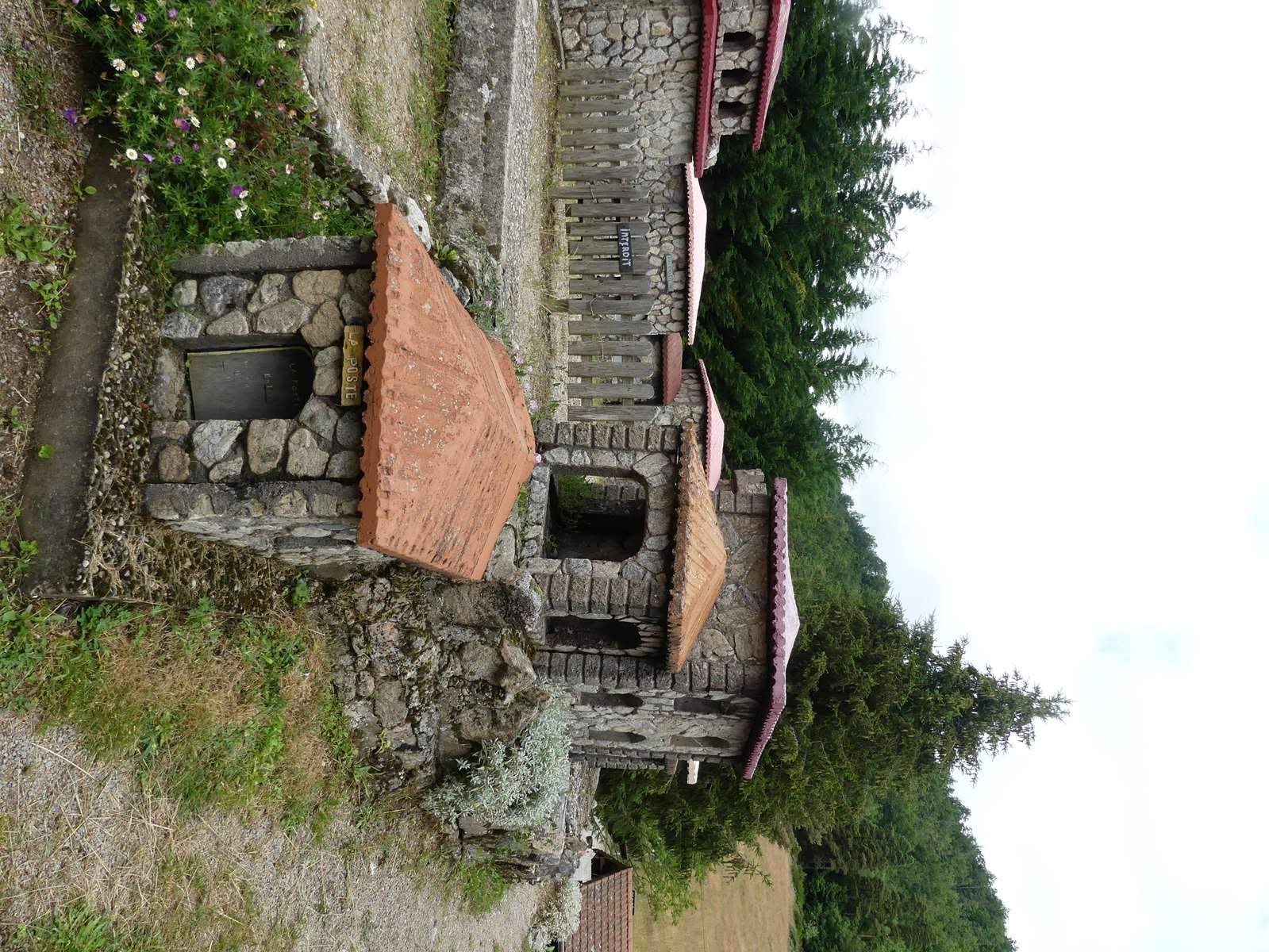 P20029