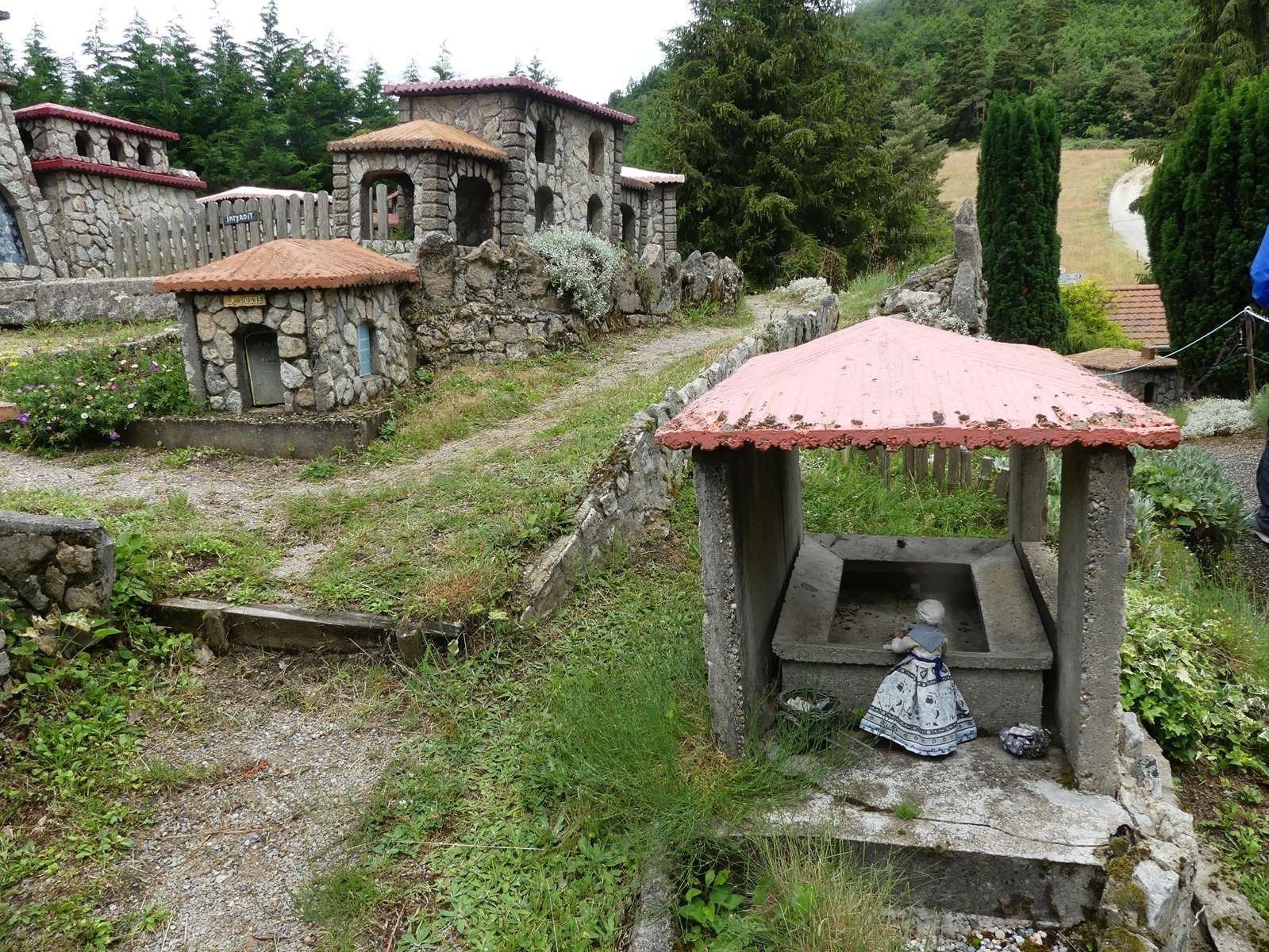 P20049