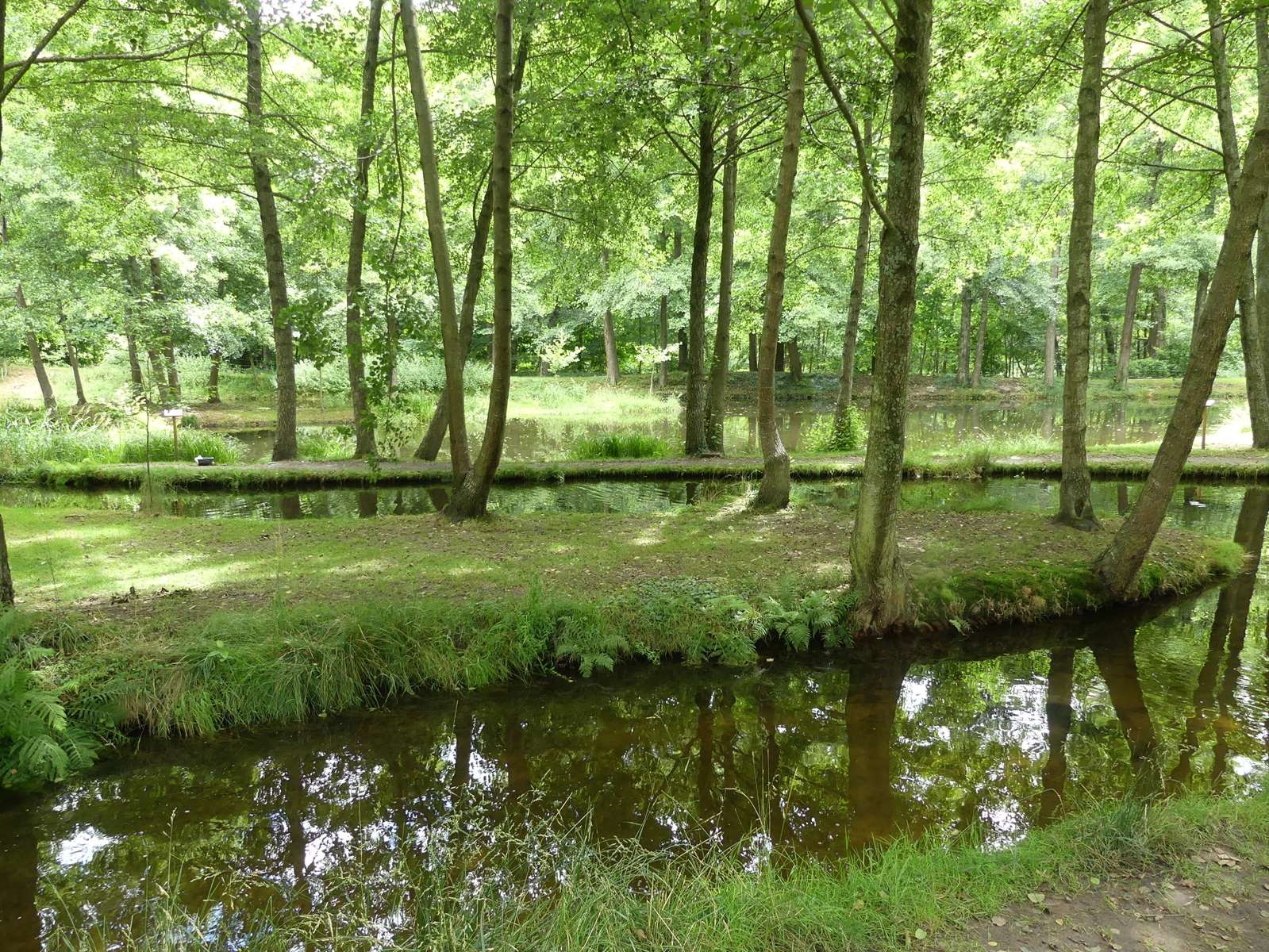 P20088