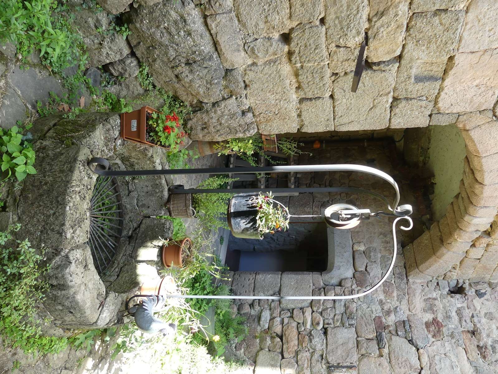 P20115