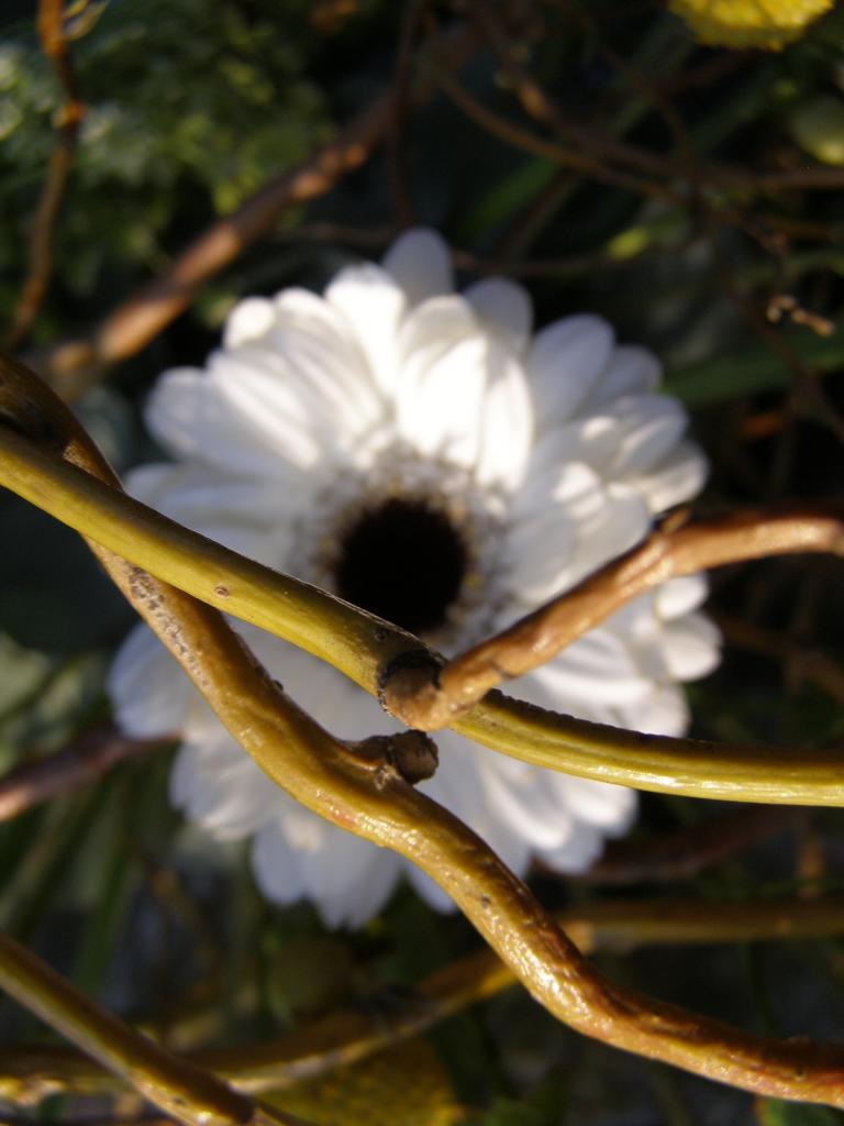 P3242321