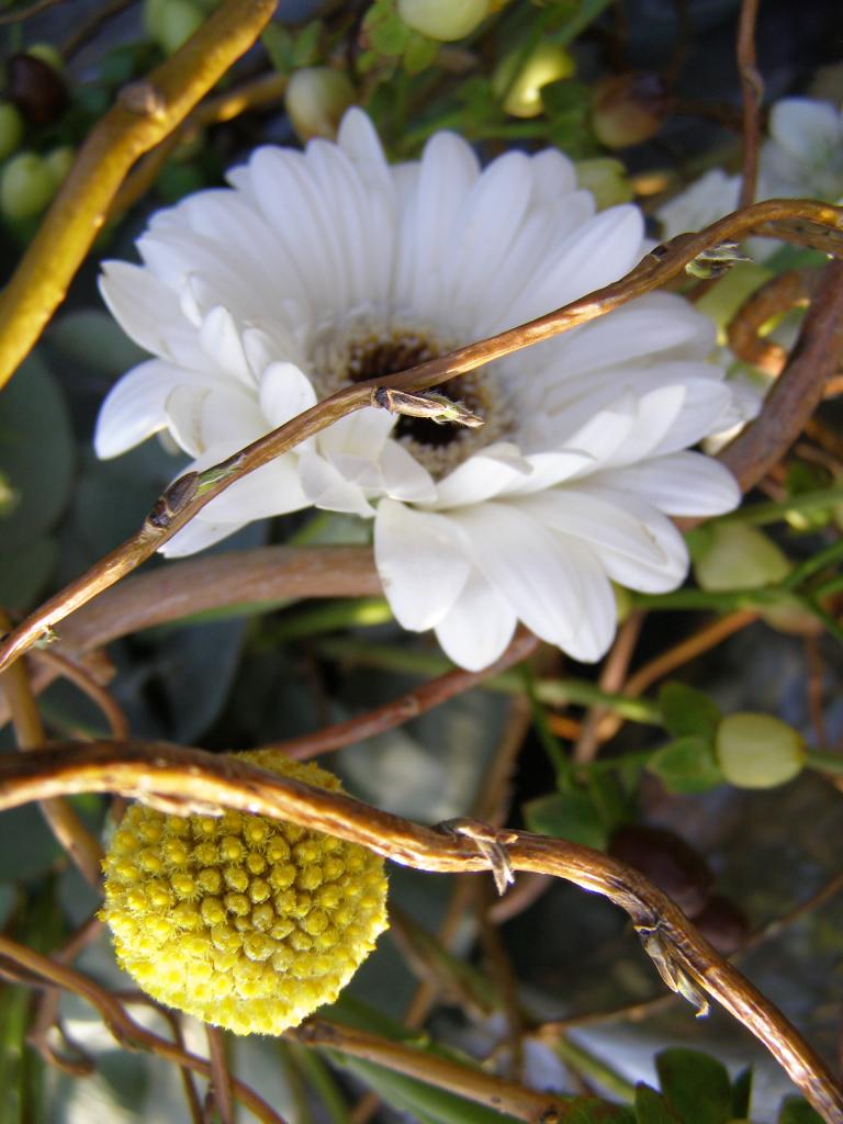 P3242322