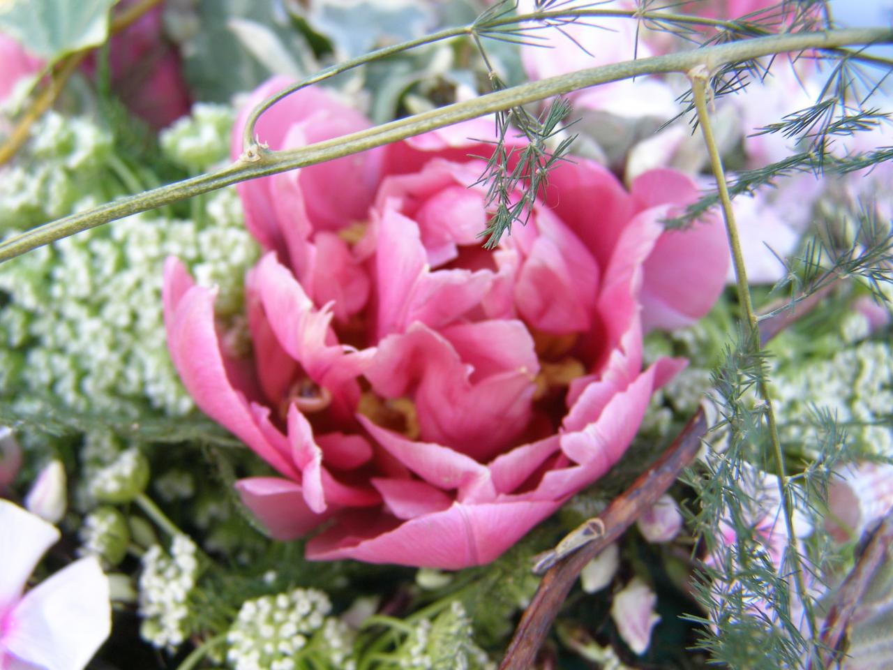 P3242326