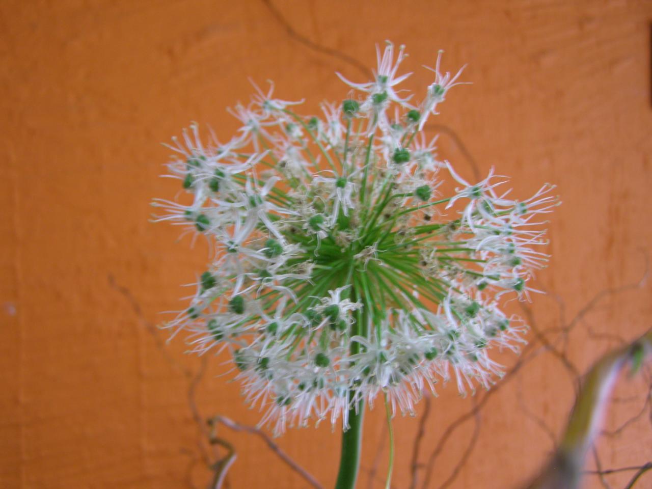 P3242338