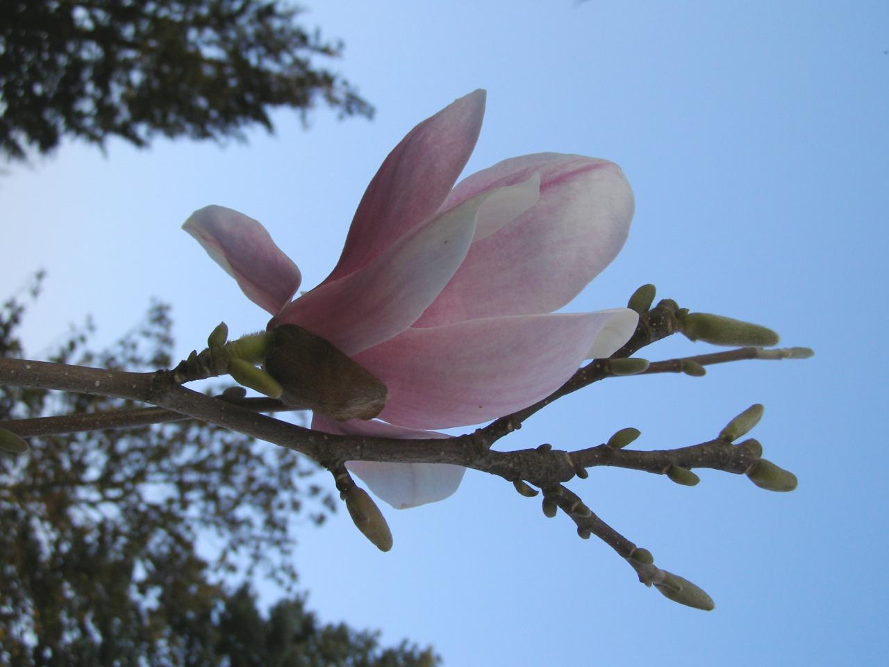P3242348