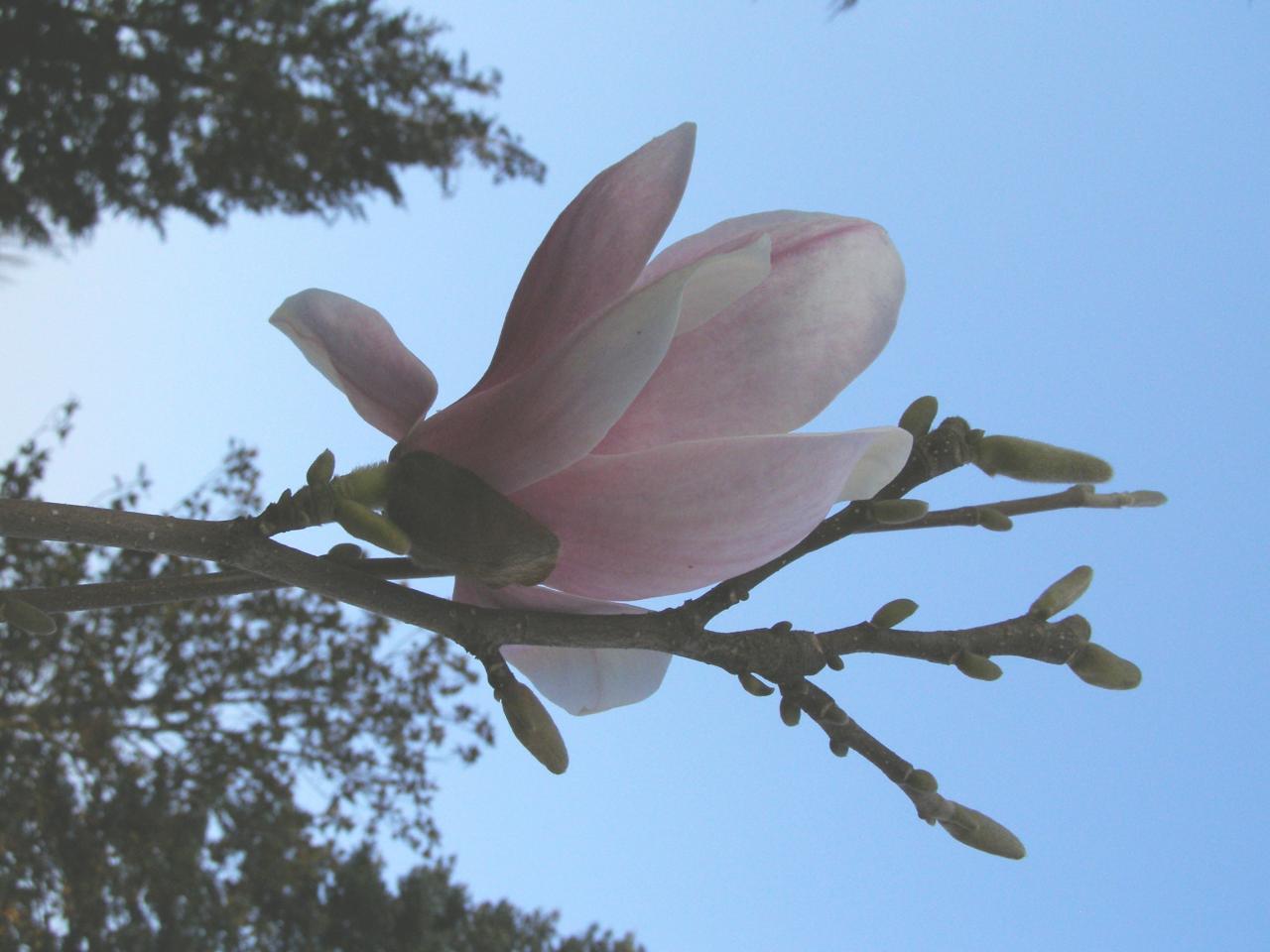 P3242349