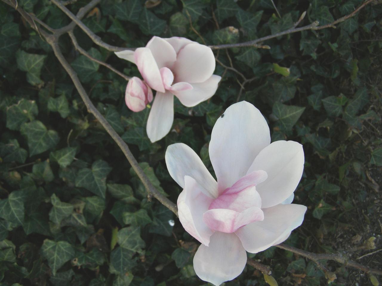 P3242350