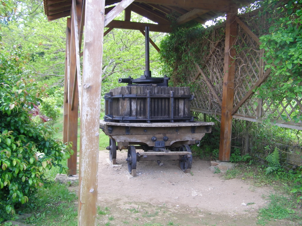 P6020212