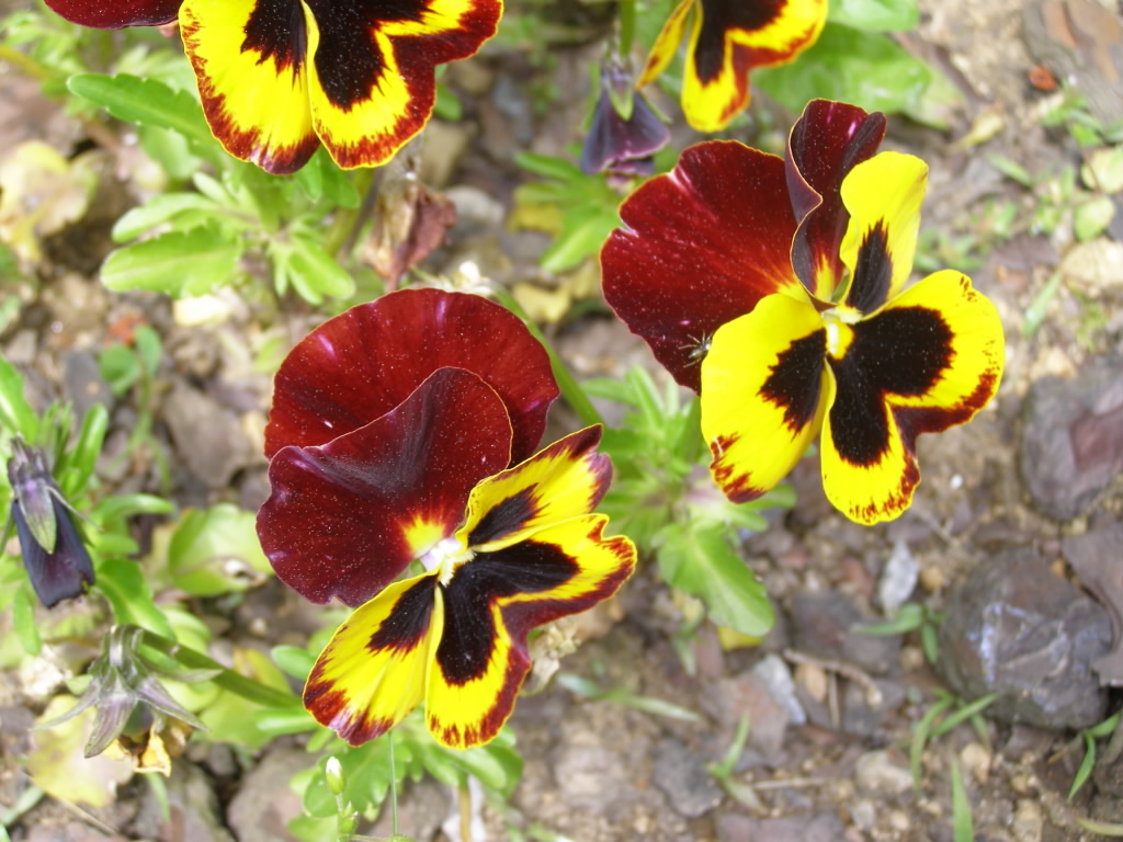 P6020227