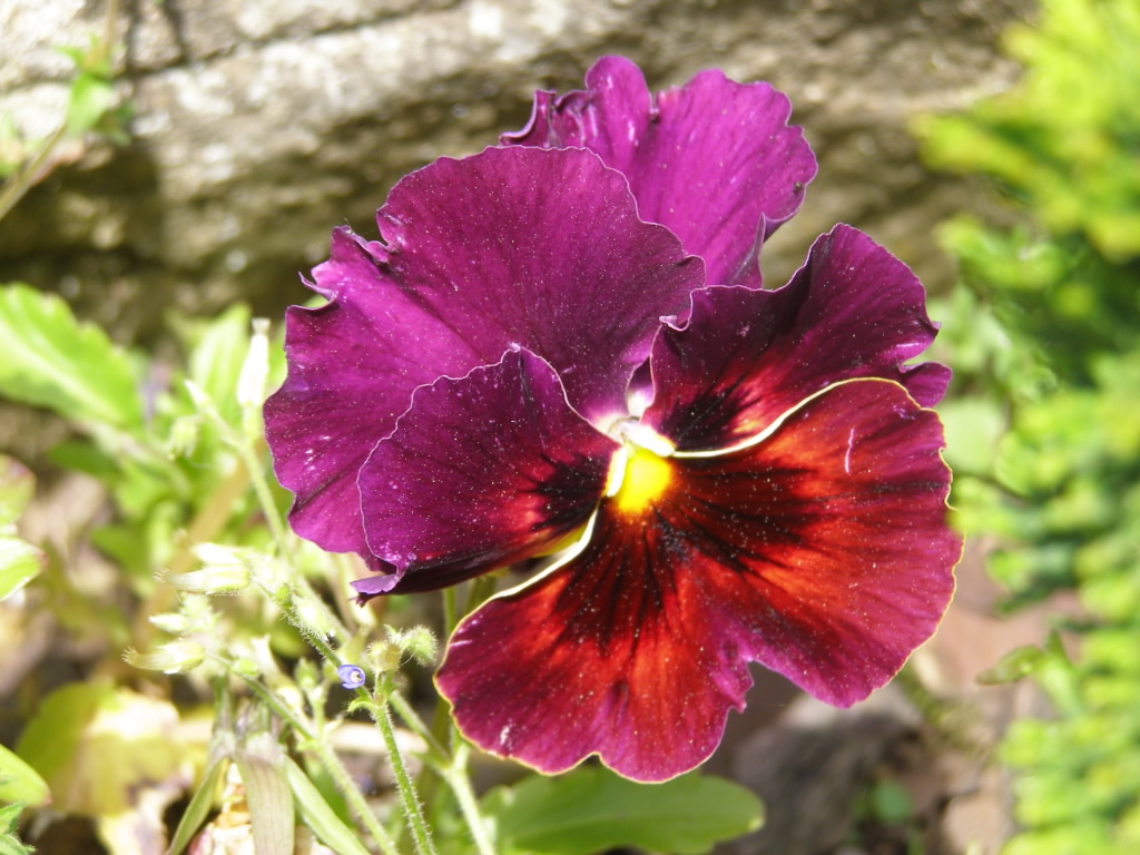 P6020228